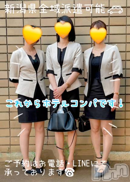 Ĺ襳ѥ˥󥯥Ĺѥ˥-Daisy- ǥ (Ĺȯ 㸩)(ʥѥ˥ǥ)  2025ǯ719̥֥֡Ǽá7񥷡🍶✨