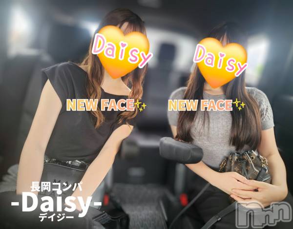 Ĺ襳ѥ˥󥯥Ĺѥ˥-Daisy- ǥ (Ĺȯ 㸩)(ʥѥ˥ǥ)  2025ǯ721̥֥ܤФǤ💛