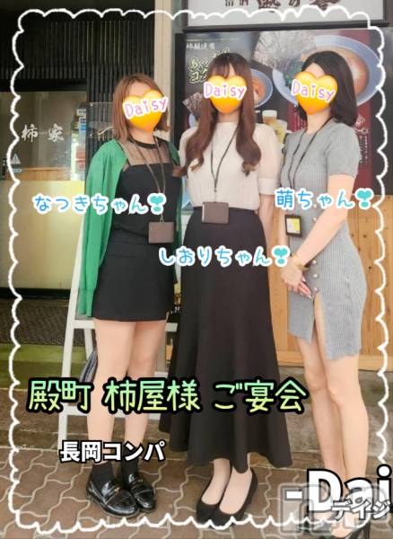 Ĺ襳ѥ˥󥯥Ĺѥ˥-Daisy- ǥ (Ĺȯ 㸩)(ʥѥ˥ǥ)  2025ǯ723ֽ̥֥뤹ޤ🥵С