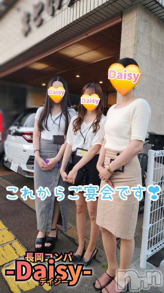 Ĺ襳ѥ˥󥯥Ĺѥ˥-Daisy- ǥ (Ĺȯ 㸩)(ʥѥ˥ǥ)  2025ǯ725̥֥֡ڲڶۻϤޤޤ🍺✨🍺