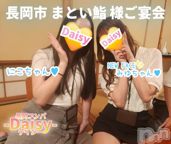 Ĺ襳ѥ˥󥯥Ĺѥ˥-Daisy- ǥ (Ĺȯ 㸩)(ʥѥ˥ǥ)  2025ǯ729ֽ̥֥椪񤤿夲ޤ🎐