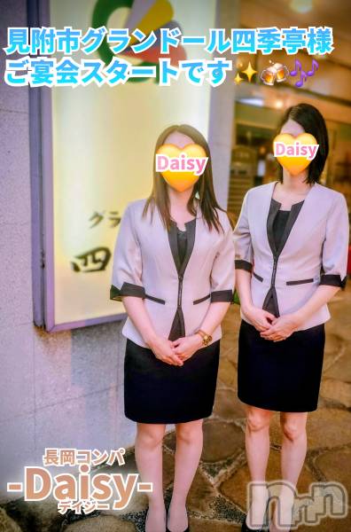 Ĺ襳ѥ˥󥯥Ĺѥ˥-Daisy- ǥ (Ĺȯ 㸩)(ʥѥ˥ǥ)  2025ǯ85̥֥inڸԡۤ񥹥!!🍶✨