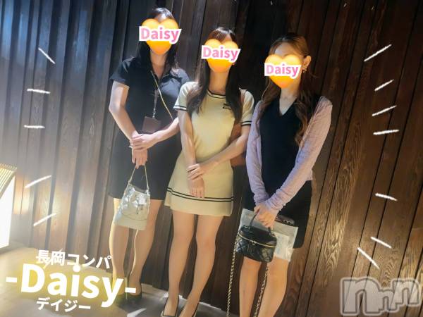 Ĺ襳ѥ˥󥯥Ĺѥ˥-Daisy- ǥ (Ĺȯ 㸩)(ʥѥ˥ǥ)  2025ǯ812̥֥֤ߤǤ🎵
