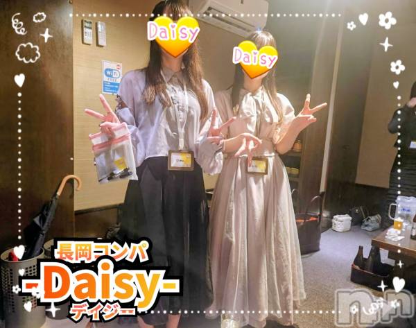 Ĺ襳ѥ˥󥯥Ĺѥ˥-Daisy- ǥ (Ĺȯ 㸩)(ʥѥ˥ǥ)  2025ǯ98ַ̥֥˥🍻✨