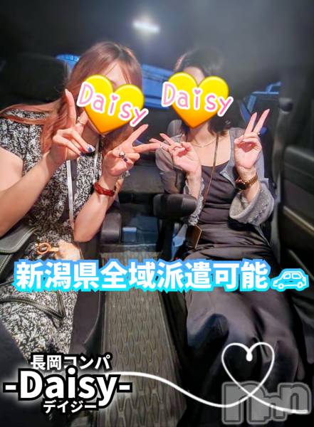 Ĺ襳ѥ˥󥯥Ĺѥ˥-Daisy- ǥ (Ĺȯ 㸩)(ʥѥ˥ǥ)  2025ǯ915̥֥֡ڷϷ🎌