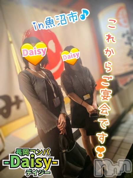 Ĺ襳ѥ˥󥯥Ĺѥ˥-Daisy- ǥ (Ĺȯ 㸩)(ʥѥ˥ǥ)  2025ǯ103̥֥inڵ»🌾ۤ✨🍻🎶