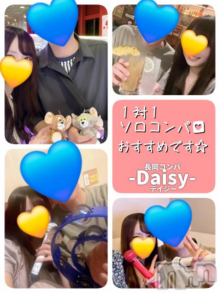 Ĺ襳ѥ˥󥯥Ĺѥ˥-Daisy- ǥ (Ĺȯ 㸩)(ʥѥ˥ǥ)  2025ǯ1011̥֥֡ڥѤºۡ