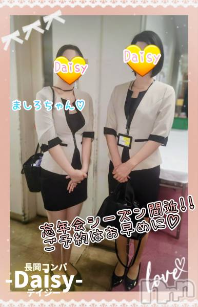 Ĺ襳ѥ˥󥯥Ĺѥ˥-Daisy- ǥ (Ĺȯ 㸩)(ʥѥ˥ǥ)  2025ǯ1017̥֥֡ڱ񥳥ѥ˥♡🍺✨🍺