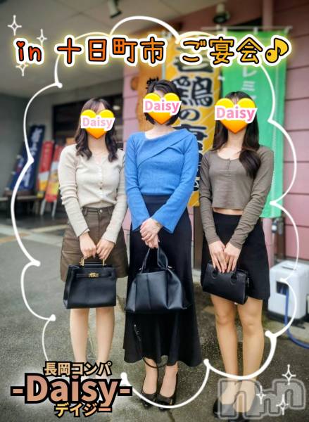 Ĺ襳ѥ˥󥯥Ĺѥ˥-Daisy- ǥ (Ĺȯ 㸩)(ʥѥ˥ǥ)  2025ǯ1020̥֥֡˥ѡin Į🍺✨🍺
