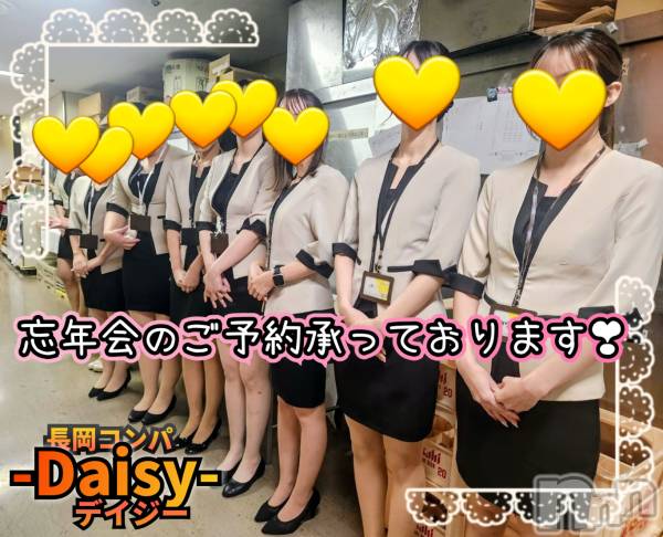 Ĺ襳ѥ˥󥯥Ĺѥ˥-Daisy- ǥ (Ĺȯ 㸩)(ʥѥ˥ǥ)  2025ǯ1027̥֥🍺✨🍺ڷˤ🍺✨🍺