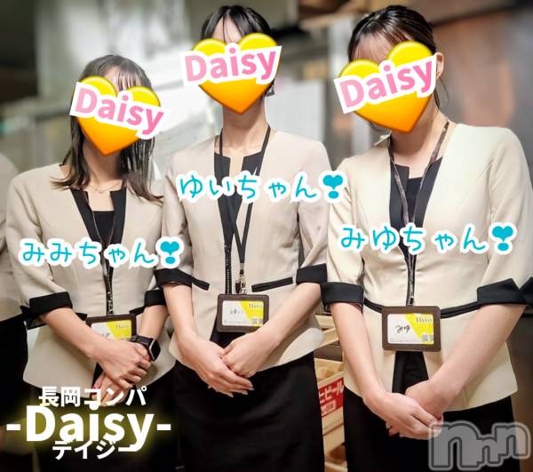 Ĺ襳ѥ˥󥯥Ĺѥ˥-Daisy- ǥ (Ĺȯ 㸩)(ʥѥ˥ǥ)  2025ǯ1029̥֥֡˺ǯΤͽϤ🍻✨ۡ