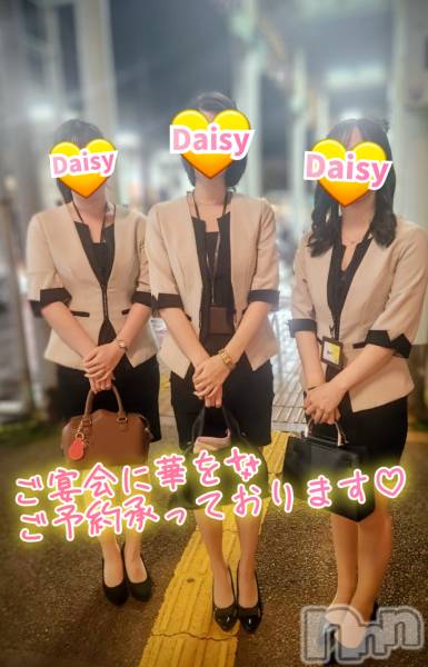 Ĺ襳ѥ˥󥯥Ĺѥ˥-Daisy- ǥ (Ĺȯ 㸩)(ʥѥ˥ǥ)  2025ǯ1031̥֥֡10ǽϲڶǤ🌃✨ۡ