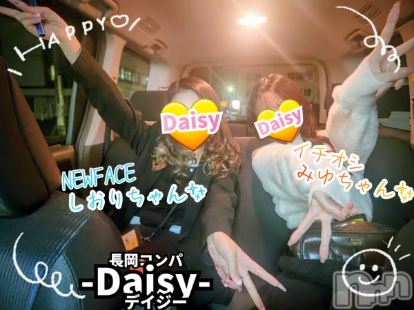 Ĺ襳ѥ˥󥯥Ĺѥ˥-Daisy- ǥ (Ĺȯ 㸩)(ʥѥ˥ǥ)  2025ǯ1112̥֥֡仿˺ǯ񥷡🍺💥🍺