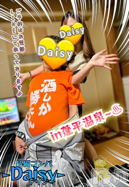 Ĺ襳ѥ˥󥯥Ĺѥ˥-Daisy- ǥ (Ĺȯ 㸩)(ʥѥ˥ǥ)  2025ǯ1119̥֥֡⛄⛄⛄~😭