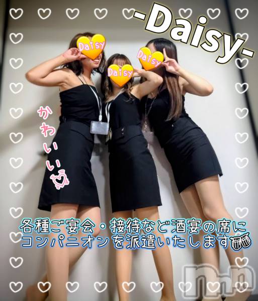Ĺ襳ѥ˥󥯥Ĺѥ˥-Daisy- ǥ (Ĺȯ 㸩)(ʥѥ˥ǥ)  2025ǯ1121̥֥֡ں3Ϣ😊ۡ