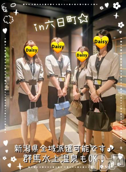 Ĺ襳ѥ˥󥯥Ĺѥ˥-Daisy- ǥ (Ĺȯ 㸩)(ʥѥ˥ǥ)  2025ǯ1122̥֥֡ڣϢ٤ϳϤǤ🍻✨ۡ