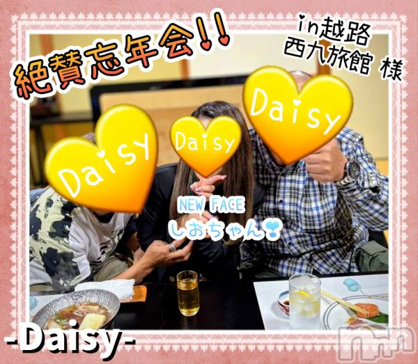 Ĺ襳ѥ˥󥯥Ĺѥ˥-Daisy- ǥ (Ĺȯ 㸩)(ʥѥ˥ǥ)  2025ǯ1123̥֥֡仿3Ϣ🎶ۡ