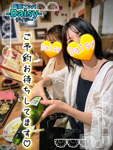 Ĺ襳ѥ˥󥯥Ĺѥ˥-Daisy- ǥ (Ĺȯ 㸩)(ʥѥ˥ǥ)  2025ǯ124̥֥֡Ϸռ̣🍶✨ۡ