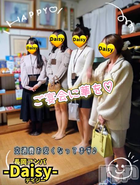 Ĺ襳ѥ˥󥯥Ĺѥ˥-Daisy- ǥ (Ĺȯ 㸩)(ʥѥ˥ǥ)  2025ǯ126̥֥֡SATURDAY NIGHT 🌃✨ۡ