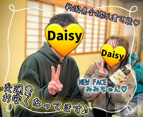 Ĺ襳ѥ˥󥯥Ĺѥ˥-Daisy- ǥ (Ĺȯ 㸩)(ʥѥ˥ǥ)  2025ǯ127̥֥֡ˤǤ💛ۡ