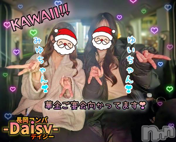 Ĺ�����������襳��ѥ˥��󥯥��Ĺ������ѥ˥���-Daisy- �ǥ����� (Ĺ����ȯ ���㸩����)(�ʥ���������ѥ˥���ǥ�����) �� 2025ǯ12��12���̥�֥����֡ڲڶ�Knight🌃✨�ۡ�