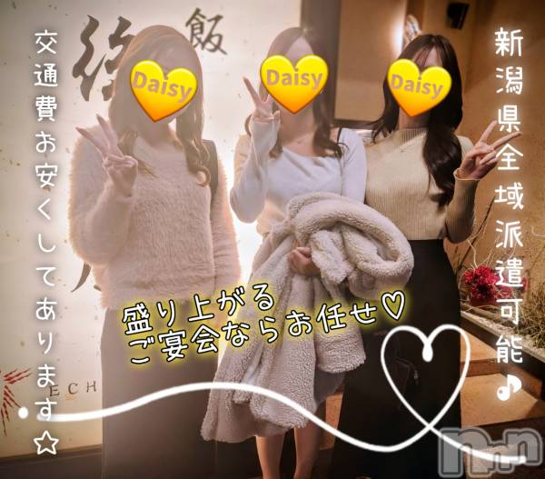 Ĺ�����������襳��ѥ˥��󥯥��Ĺ������ѥ˥���-Daisy- �ǥ����� (Ĺ����ȯ ���㸩����)(�ʥ���������ѥ˥���ǥ�����) �� 2025ǯ12��15���̥�֥����֡ڥ����ĽФ������������ݤ�����🥴�ۡ�