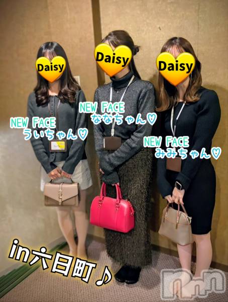 Ĺ�����������襳��ѥ˥��󥯥��Ĺ������ѥ˥���-Daisy- �ǥ����� (Ĺ����ȯ ���㸩����)(�ʥ���������ѥ˥���ǥ�����) �� 2026ǯ1��18���̥�֥����֡����˥���� 🍻 in ϻ��Į🎶�ۡ�