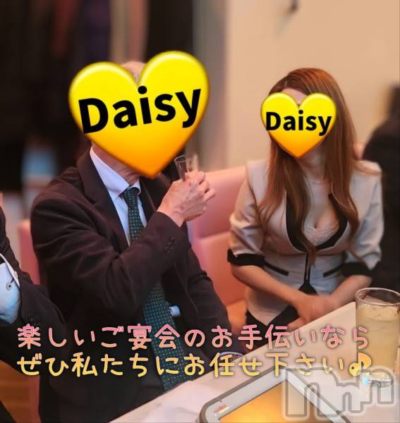 Ĺ�����������襳��ѥ˥��󥯥��Ĺ������ѥ˥���-Daisy- �ǥ����� (Ĺ����ȯ ���㸩����)(�ʥ���������ѥ˥���ǥ�����) �� 2026ǯ1��19���̥�֥����֡� ������🐧�����Ĥ���Ф�Τ�����🥺�ۡ�