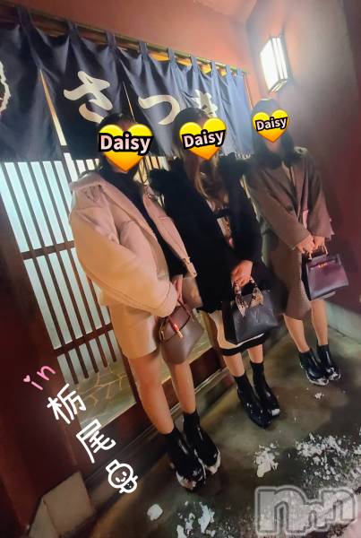 Ĺ�����������襳��ѥ˥��󥯥��Ĺ������ѥ˥���-Daisy- �ǥ����� (Ĺ����ȯ ���㸩����)(�ʥ���������ѥ˥���ǥ�����) �� 2026ǯ1��21���̥�֥����֡���˾������������😭�ۥ����Ĥ˰���������