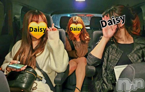 Ĺ�����������襳��ѥ˥��󥯥��Ĺ������ѥ˥���-Daisy- �ǥ����� (Ĺ����ȯ ���㸩����)(�ʥ���������ѥ˥���ǥ�����) �� 2026ǯ1��22���̥�֥����֡ڤ��त��������❄️🥺�ۡ�