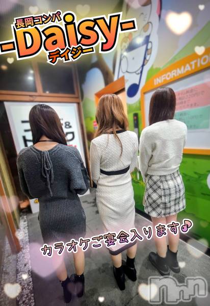 Ĺ�����������襳��ѥ˥��󥯥��Ĺ������ѥ˥���-Daisy- �ǥ����� (Ĺ����ȯ ���㸩����)(�ʥ���������ѥ˥���ǥ�����) �� 2026ǯ2��2���̥�֥����֡���������ɱ���Ǯ��🔥🍶🔥�ۡ�