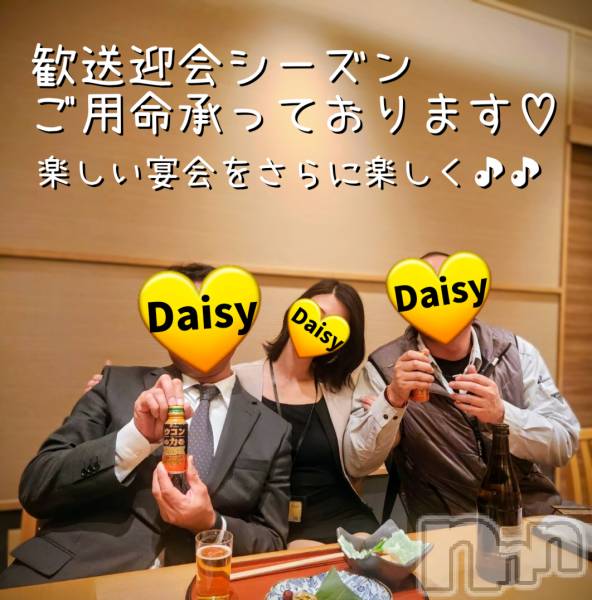 Ĺ�����������襳��ѥ˥��󥯥��Ĺ������ѥ˥���-Daisy- �ǥ����� (Ĺ����ȯ ���㸩����)(�ʥ���������ѥ˥���ǥ�����) �� 2026ǯ2��13���̥�֥����֡ڲڤζ��ˤǤ�✨🍻🎶�ۡ�