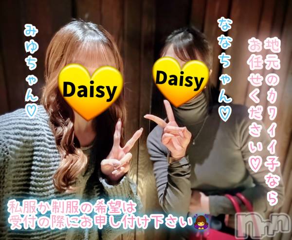 Ĺ�����������襳��ѥ˥��󥯥��Ĺ������ѥ˥���-Daisy- �ǥ����� (Ĺ����ȯ ���㸩����)(�ʥ���������ѥ˥���ǥ�����) �� 2026ǯ2��14���̥�֥����֡ں����ϥХ�󥿥���ǡ�🍫🎀�ۡ�