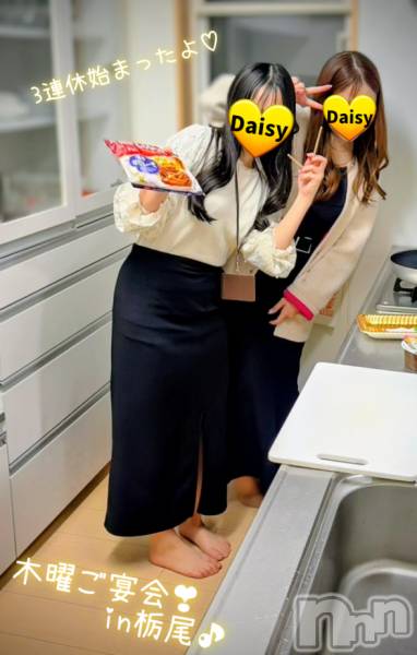 Ĺ�����������襳��ѥ˥��󥯥��Ĺ������ѥ˥���-Daisy- �ǥ����� (Ĺ����ȯ ���㸩����)(�ʥ���������ѥ˥���ǥ�����) �� 2026ǯ3��20���̥�֥����֡ڲڤζ�������3Ϣ�٤Ǥ�🎶��