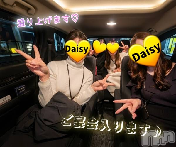 Ĺ�����������襳��ѥ˥��󥯥��Ĺ������ѥ˥���-Daisy- �ǥ����� (Ĺ����ȯ ���㸩����)(�ʥ���������ѥ˥���ǥ�����) �� 2026ǯ3��24���̥�֥����֡ڲ��ˤ����❣️🍻�ۡ�