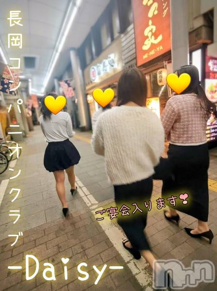 Ĺ�����������襳��ѥ˥��󥯥��Ĺ������ѥ˥���-Daisy- �ǥ����� (Ĺ����ȯ ���㸩����)(�ʥ���������ѥ˥���ǥ�����) �� 2026ǯ3��25���̥�֥����֡�🌸 �դγƼ老��� 🍻 �仿������ 🌸�ۡ�