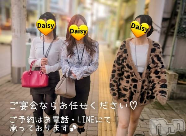 Ĺ�����������襳��ѥ˥��󥯥��Ĺ������ѥ˥���-Daisy- �ǥ����� (Ĺ����ȯ ���㸩����)(�ʥ���������ѥ˥���ǥ�����) �� 2026ǯ3��30���̥�֥����֡�🌸���ָ�������🍻�ۡ�