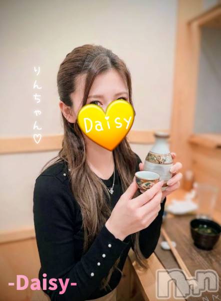 Ĺ�����������襳��ѥ˥��󥯥��Ĺ������ѥ˥���-Daisy- �ǥ����� (Ĺ����ȯ ���㸩����)(�ʥ���������ѥ˥���ǥ�����) �� 2026ǯ4��5���̥�֥����֡ڽդǤ���🌸�ۡ�