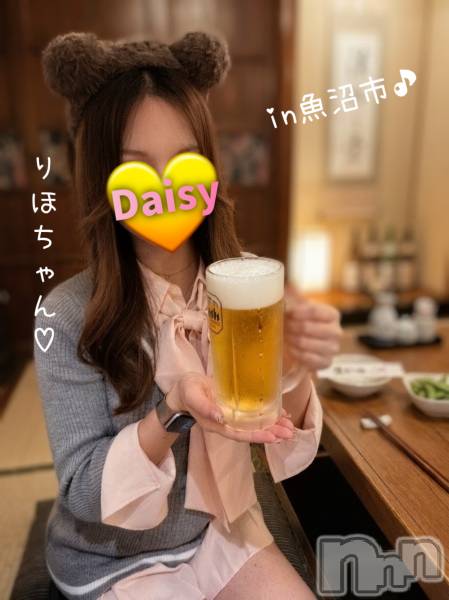 Ĺ�����������襳��ѥ˥��󥯥��Ĺ������ѥ˥���-Daisy- �ǥ����� (Ĺ����ȯ ���㸩����)(�ʥ���������ѥ˥���ǥ�����) �� 2026ǯ4��7���̥�֥����֡ڳ���κ���������🌸�ۡ�