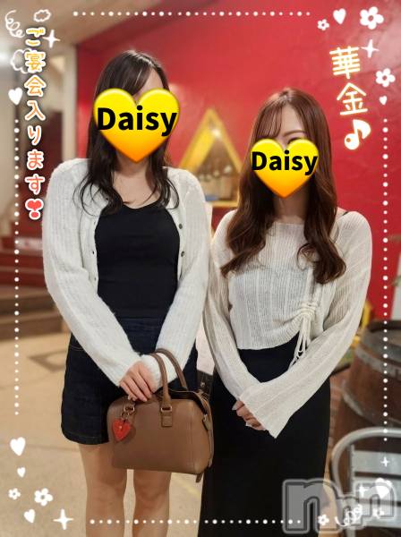 Ĺ�����������襳��ѥ˥��󥯥��Ĺ������ѥ˥���-Daisy- �ǥ����� (Ĺ����ȯ ���㸩����)(�ʥ���������ѥ˥���ǥ�����) �� 2026ǯ4��10���̥�֥����֡ڲ�🌸��ۺ����ʤ�����ߤ�����🍺✨🍺��