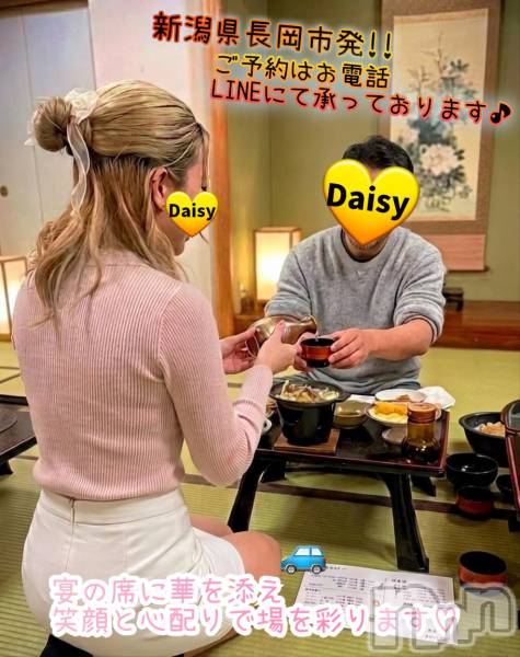 Ĺ�����������襳��ѥ˥��󥯥��Ĺ������ѥ˥���-Daisy- �ǥ����� (Ĺ����ȯ ���㸩����)(�ʥ���������ѥ˥���ǥ�����) �� 2026ǯ4��20���̥�֥����֡ڿ��㸩�����б�🚙��✨�ۡ�