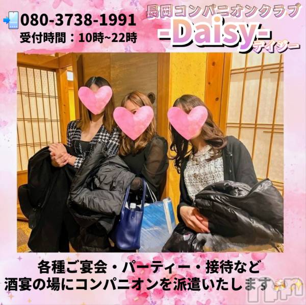 Ĺ�����������襳��ѥ˥��󥯥��Ĺ������ѥ˥���-Daisy- �ǥ����� (Ĺ����ȯ ���㸩����)(�ʥ���������ѥ˥���ǥ�����) �� 2026ǯ4��26���̥�֥����֡ڤޤ�ʤ�GW✨�ݤा🍶�ۡ�