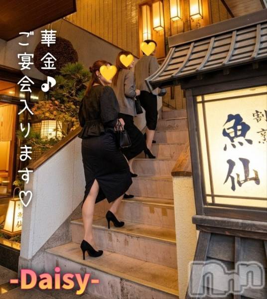 Ĺ�����������襳��ѥ˥��󥯥��Ĺ������ѥ˥���-Daisy- �ǥ����� (Ĺ����ȯ ���㸩����)(�ʥ���������ѥ˥���ǥ�����) �� 2026ǯ5��15���̥�֥����֡ڲڶ�💛�ۡ�