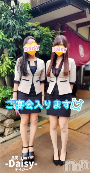 Ĺ�����������襳��ѥ˥��󥯥��Ĺ������ѥ˥���-Daisy- �ǥ����� (Ĺ����ȯ ���㸩����)(�ʥ���������ѥ˥���ǥ�����) �� 2026ǯ5��19���̥�֥����֡ڤ����˥���ѥ˥���✨🍻🎶�ۡ�
