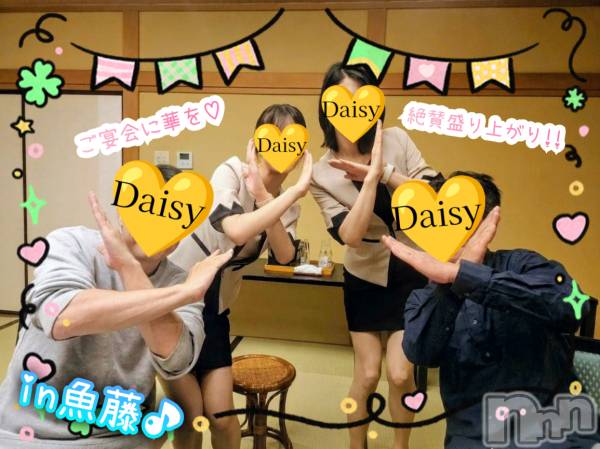 Ĺ�����������襳��ѥ˥��󥯥��Ĺ������ѥ˥���-Daisy- �ǥ����� (Ĺ����ȯ ���㸩����)(�ʥ���������ѥ˥���ǥ�����) �� 2026ǯ5��30���̥�֥����֡ں���ϱ�������✨🍻🎶������夲�ޤ�🫡��
