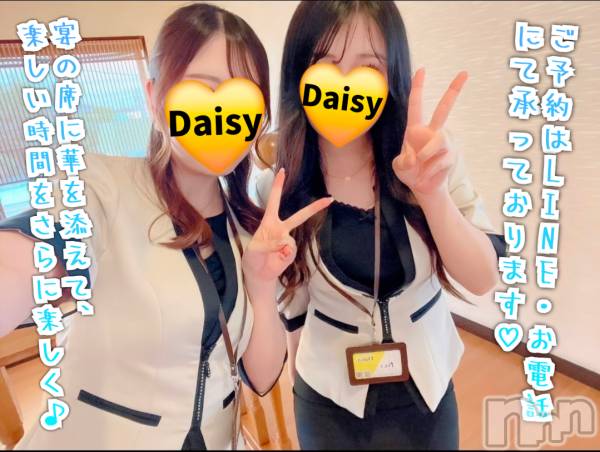 Ĺ�����������襳��ѥ˥��󥯥��Ĺ������ѥ˥���-Daisy- �ǥ����� (Ĺ����ȯ ���㸩����)(�ʥ���������ѥ˥���ǥ�����) �� 2026ǯ6��16���̥�֥����֡��߱��ɤ����ä�🤔�ۡ�