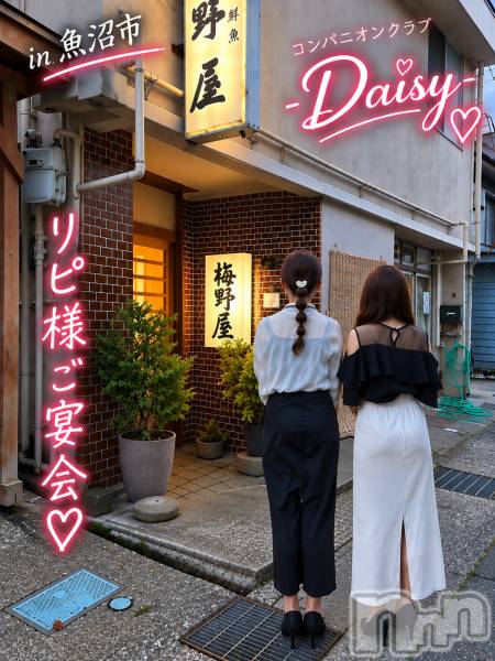 Ĺ�����������襳��ѥ˥��󥯥��Ĺ������ѥ˥���-Daisy- �ǥ����� (Ĺ����ȯ ���㸩����)(�ʥ���������ѥ˥���ǥ�����) �� 2026ǯ9��17���̥�֥����֡�in ���»ԡ��ۥ�ԡ������ͤ���� 💕��