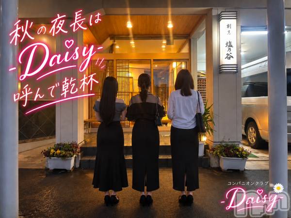 Ĺ�����������襳��ѥ˥��󥯥��Ĺ������ѥ˥���-Daisy- �ǥ����� (Ĺ����ȯ ���㸩����)(�ʥ���������ѥ˥���ǥ�����) �� 2026ǯ9��18���̥�֥����֡ڽ�����Ĺ�ۥ���С�������������🍻✨��