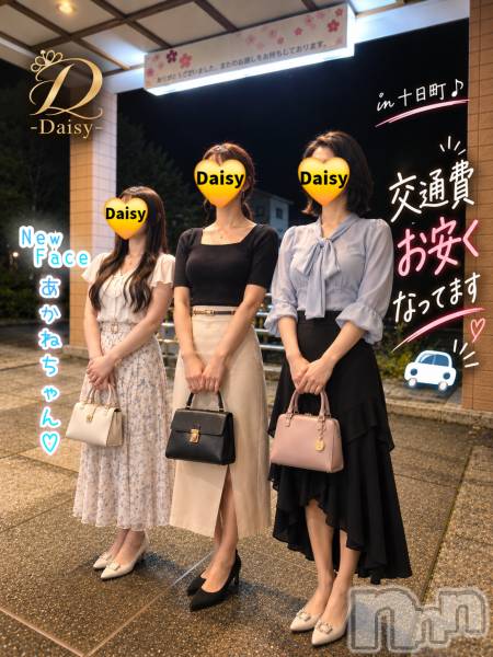 Ĺ�����������襳��ѥ˥��󥯥��Ĺ������ѥ˥���-Daisy- �ǥ����� (Ĺ����ȯ ���㸩����)(�ʥ���������ѥ˥���ǥ�����) �� 2026ǯ9��26���̥�֥����֡� in ����Į��✨🍻🎶 �ۡ�