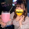 Ĺ襳ѥ˥󥯥 Ĺѥ˥-Daisy- ǥ (Ĺȯ 㸩)(ʥѥ˥ǥ)321Ź®֡11ۥ🍸️✨🍸️